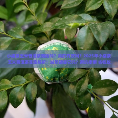 小柒茶玉米普洱茶能瘦吗