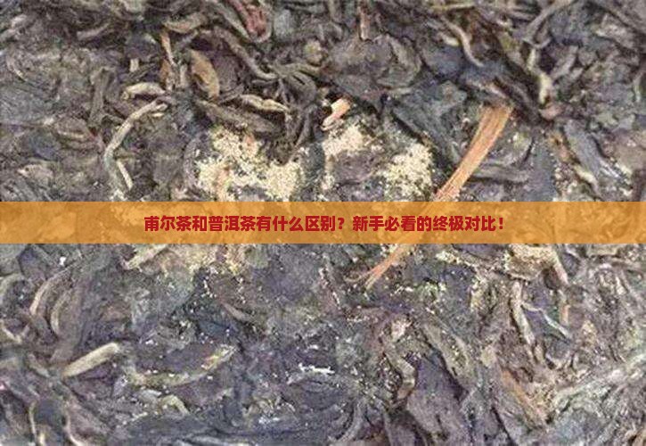 甫尔茶和普洱茶