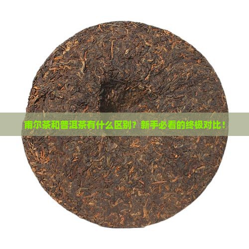 甫尔茶和普洱茶