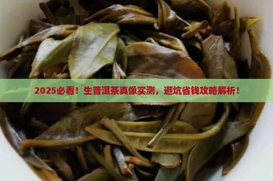 如何判断生普洱茶