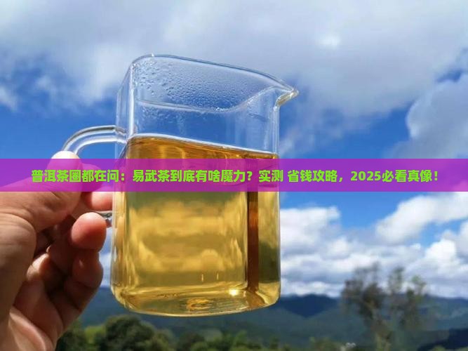 普洱茶为什么要易武