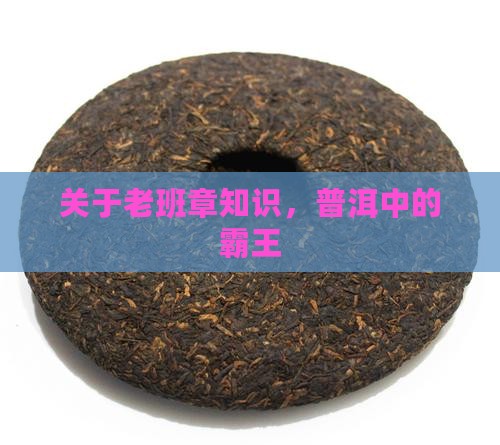 关于老班章的知识