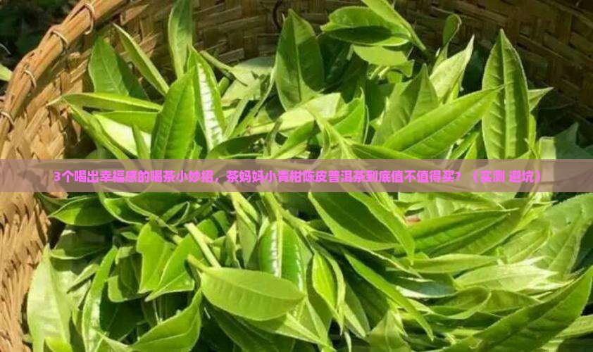 茶妈妈小青柑陈皮普洱茶