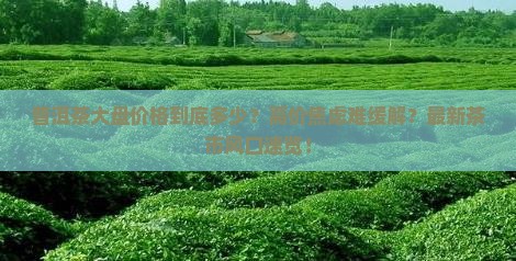 普洱茶目前大盘价格多少