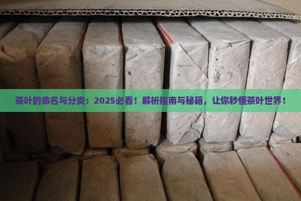 茶叶的命名与分类