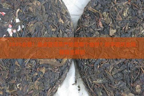 普洱茶的产地是哪个省份
