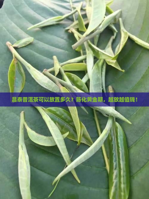 昌泰普洱茶可以放置多久