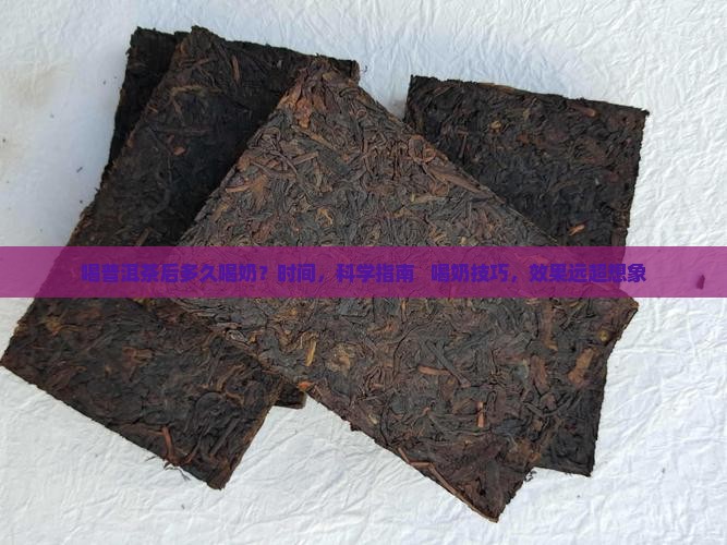 喝普洱茶后多久喝奶
