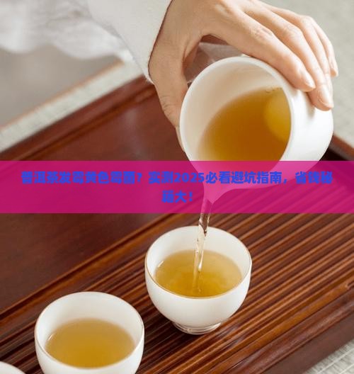 普洱茶发霉黄色霉菌