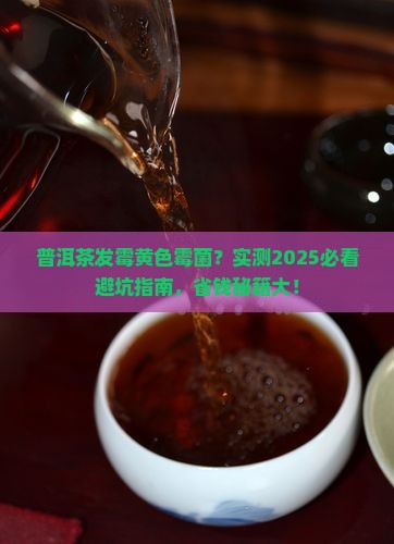 普洱茶发霉黄色霉菌