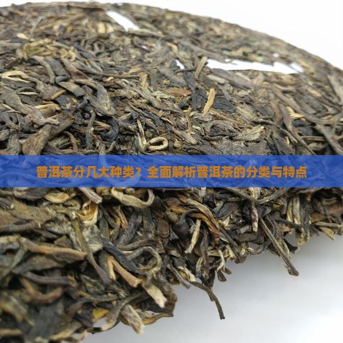 普洱茶分几大种类