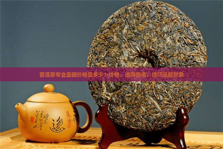 普洱茶专业盖碗价格是多少