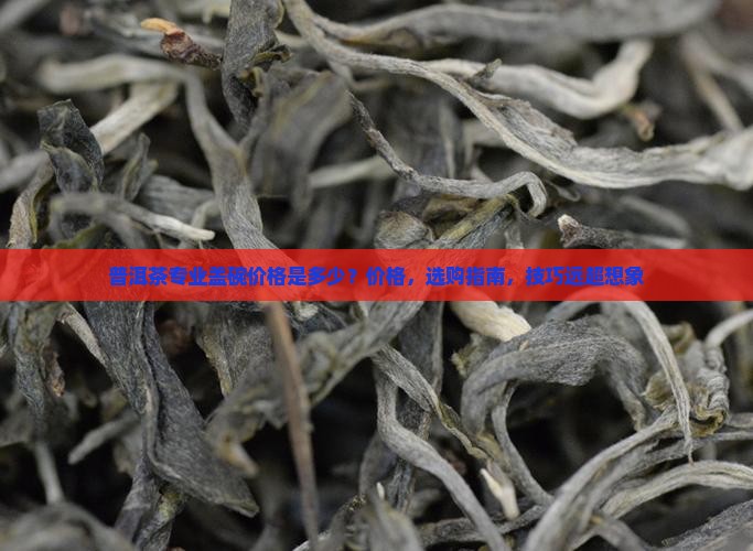 普洱茶专业盖碗价格是多少