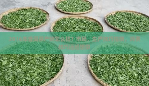 2016年普洱茶产销