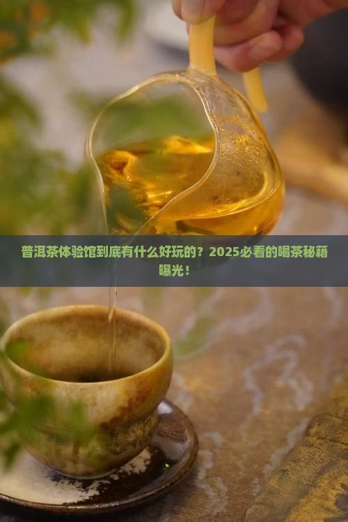 普洱茶体验馆体验什么
