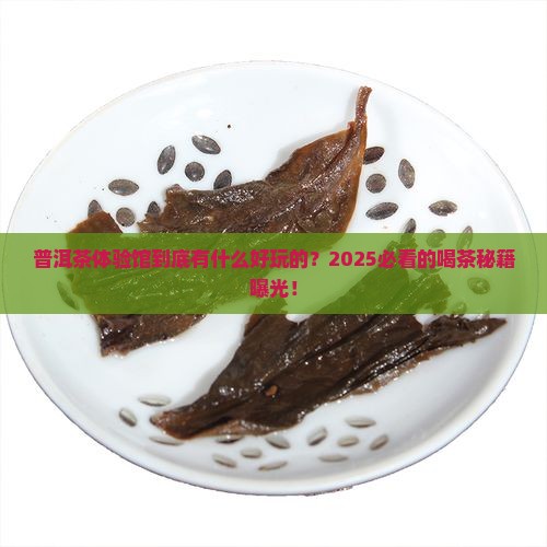 普洱茶体验馆体验什么