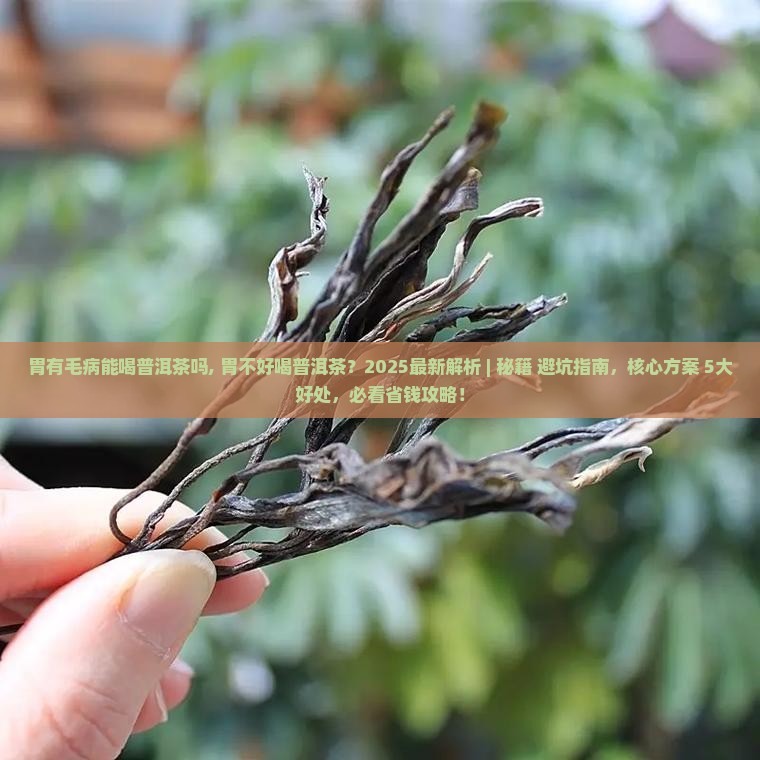 胃有毛病能喝普洱茶吗 胃有毛病能喝普洱茶吗