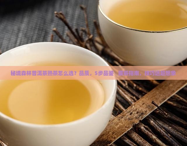 秘境森林普洱茶熟茶