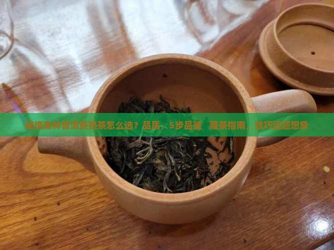 秘境森林普洱茶熟茶