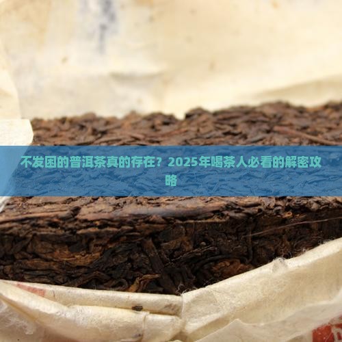 不发困的普洱茶