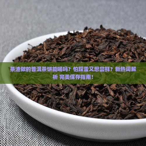 茶渣做的普洱茶饼好吗怎么保存