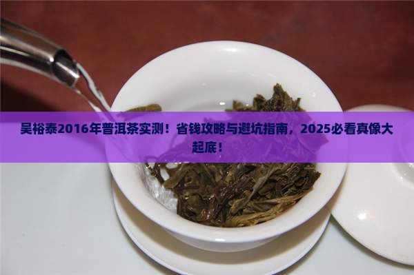 吴裕泰2016年普洱茶