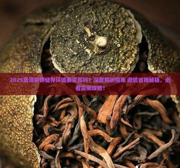 普洱茶饼储存环境要求高吗