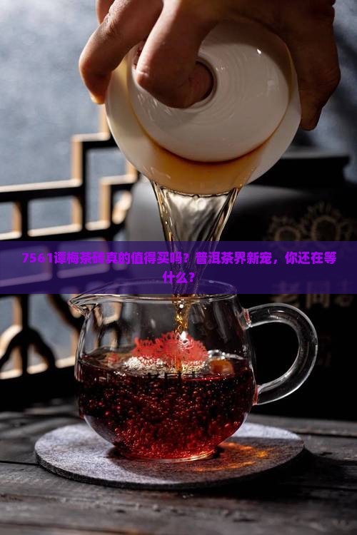 7561谭梅茶砖
