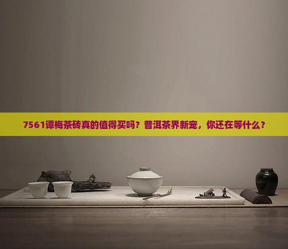 7561谭梅茶砖