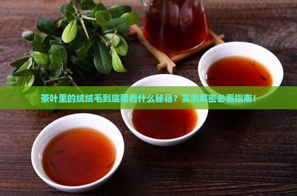 茶叶里边的绒绒毛叫啥