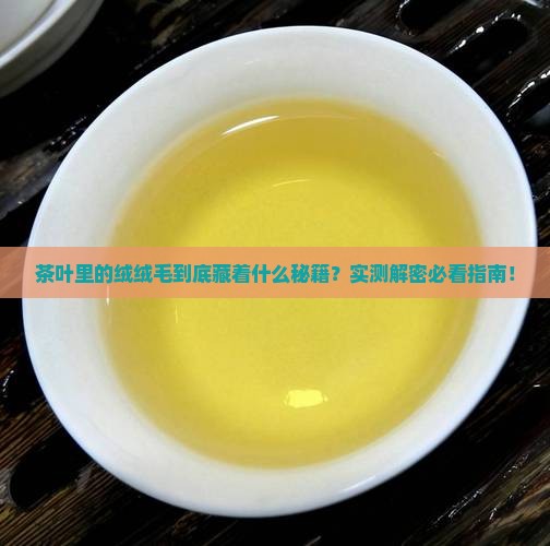 茶叶里边的绒绒毛叫啥