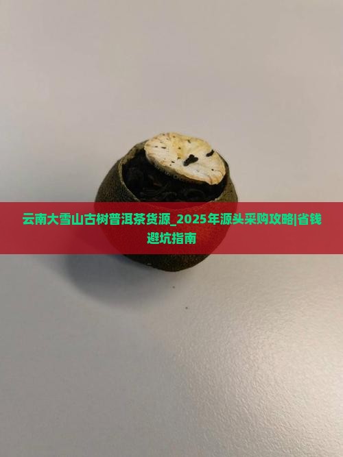 云南大雪山古树普洱茶货源