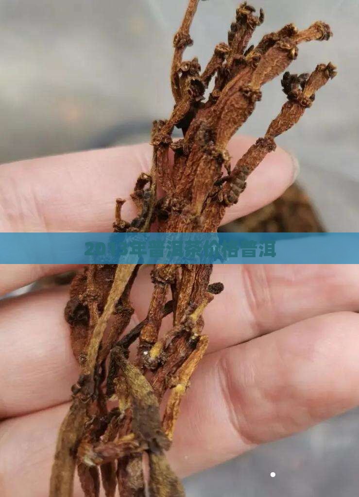 2013年6831普洱茶