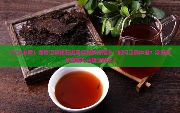 熟普洱茶化石出汤
