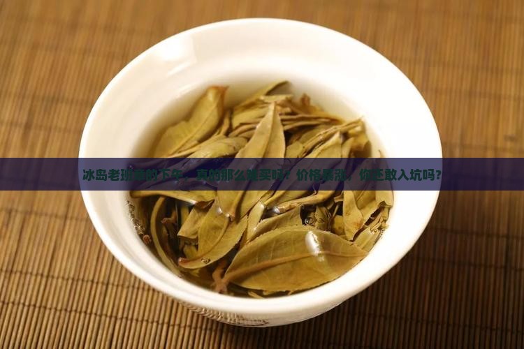 冰岛老班章的下午