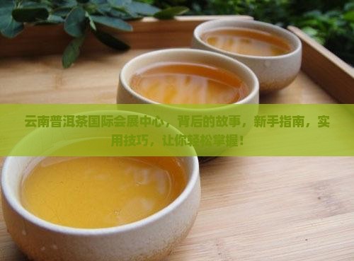 云南普洱茶国际会展中心