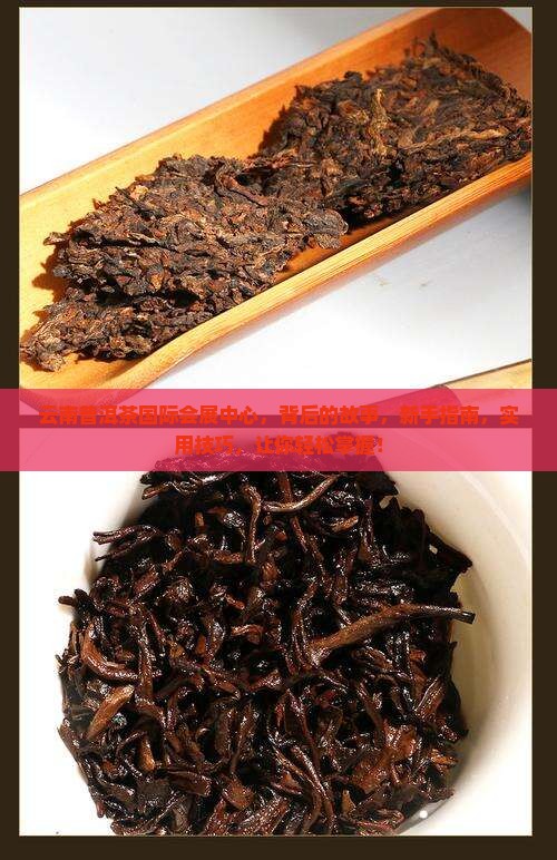 云南普洱茶国际会展中心