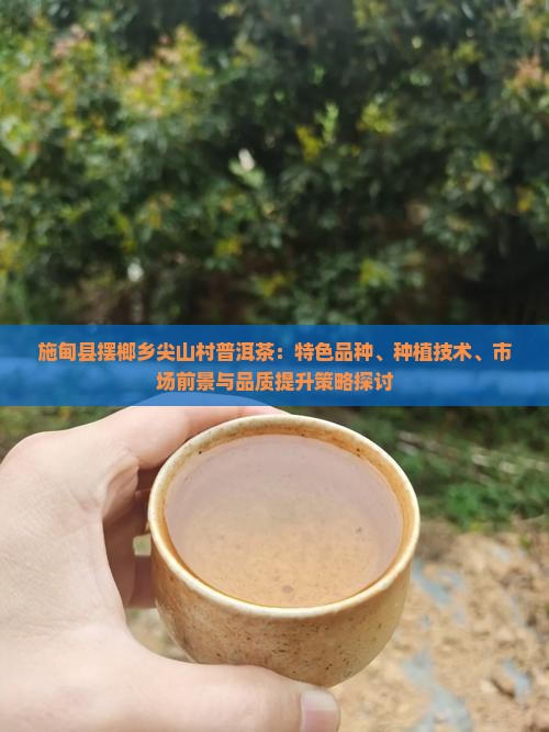 施甸县摆榔乡尖山村普洱茶