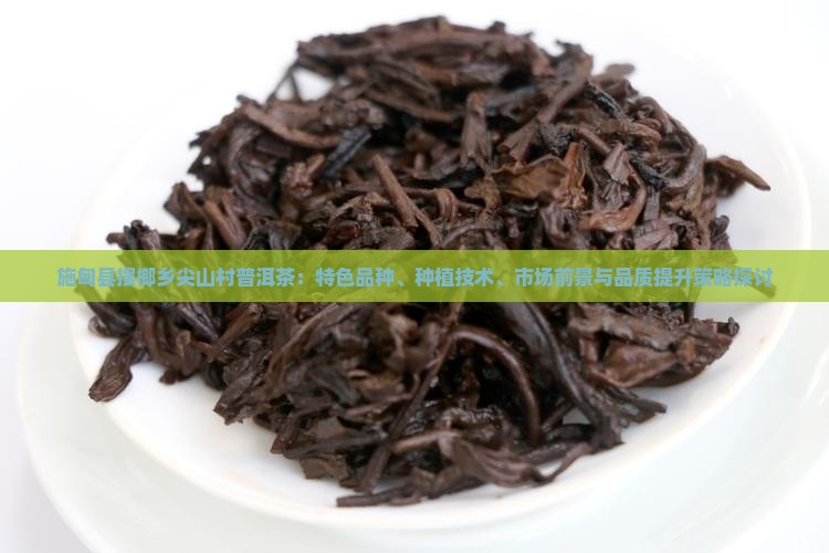 施甸县摆榔乡尖山村普洱茶