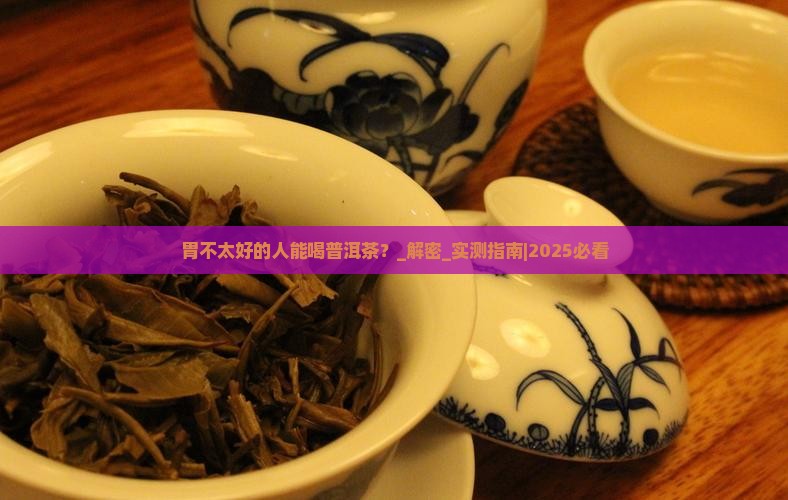 胃不太好的人能喝普洱茶