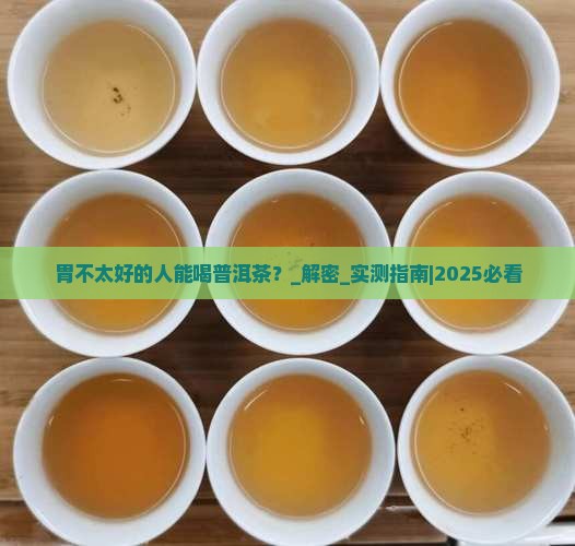 胃不太好的人能喝普洱茶