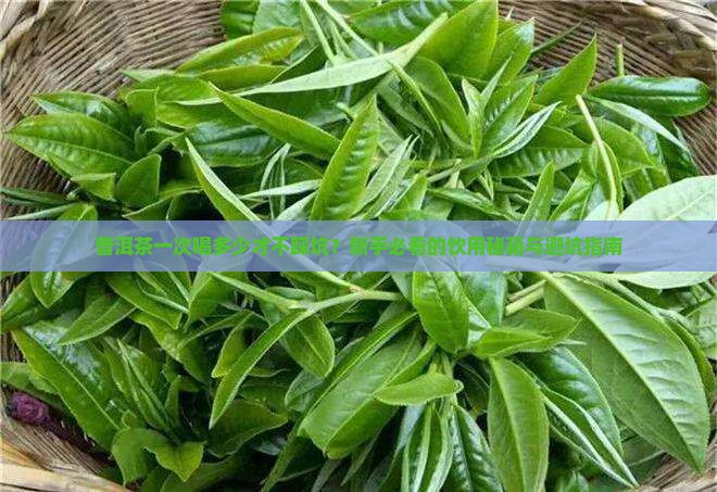 普洱茶一次喝多少适量呢