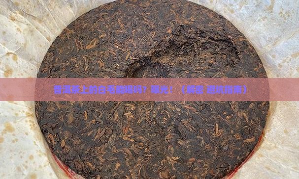 普洱茶里面的绒毛能喝吗
