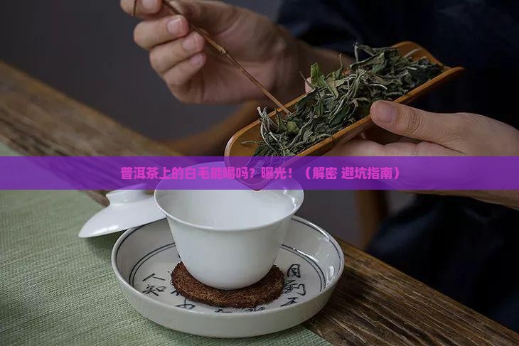 普洱茶里面的绒毛能喝吗