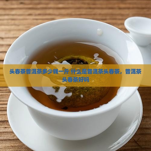 头春茶普洱茶多少钱一斤