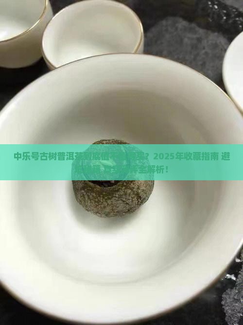 中乐号古树普洱茶