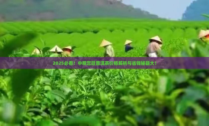 中粮宫廷普洱茶价格表