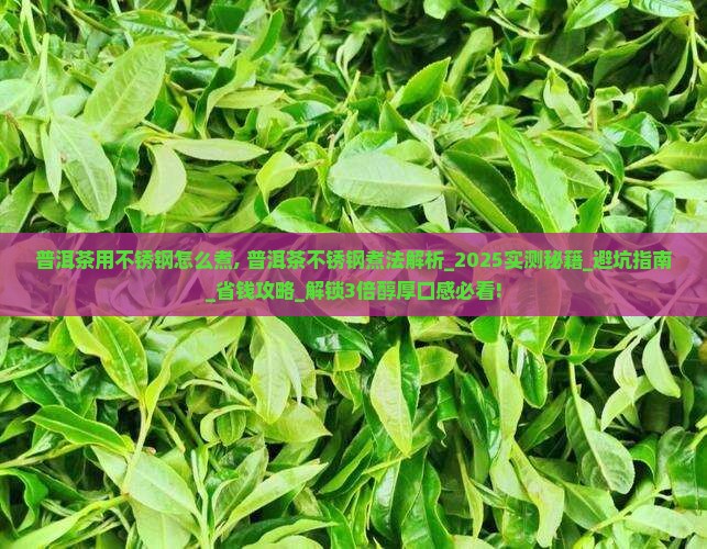 普洱茶用不锈钢怎么煮