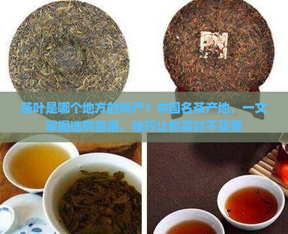 茶叶是哪个地方的特产
