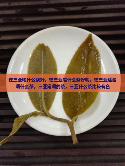 在三亚喝什么茶好